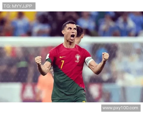 2012年欧洲杯C罗的精彩表现与葡萄牙队的奋斗历程回顾