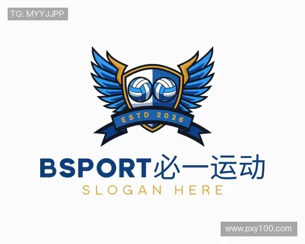 介绍BSport必一
